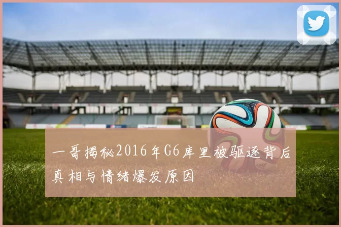 一哥揭秘2016年G6库里被驱逐背后真相与情绪爆发原因