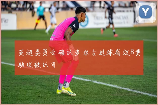 英超委员会确认多尔古进球有效B费助攻被认可